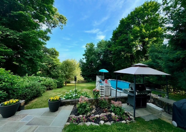 view of yard featuring a patio area and an outdoor pool