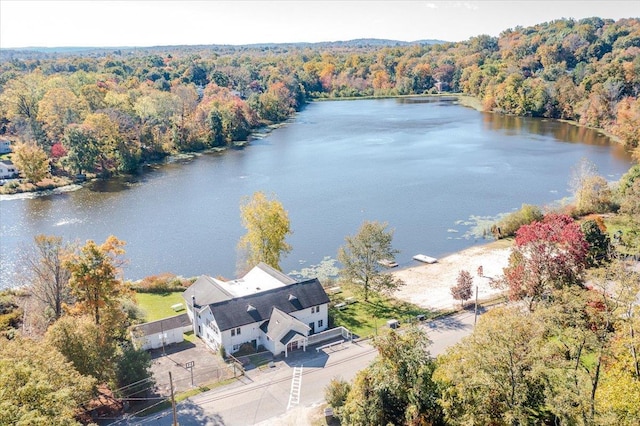 bird's eye view featuring a water view and a view of trees