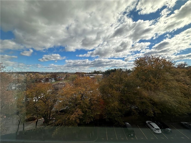 view of local wilderness