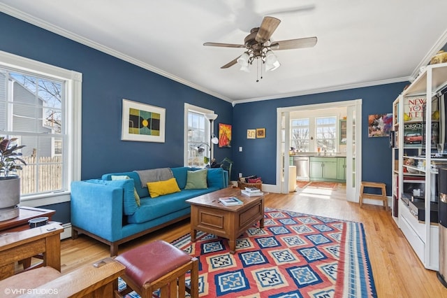 living room featuring ornamental molding, ceiling fan, light wood finished floors, and baseboards