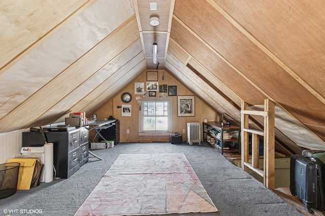 unfinished attic featuring radiator