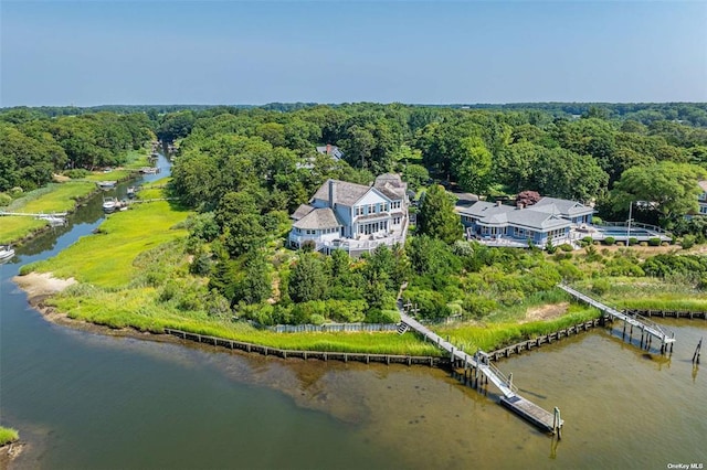 bird's eye view with a water view and a view of trees