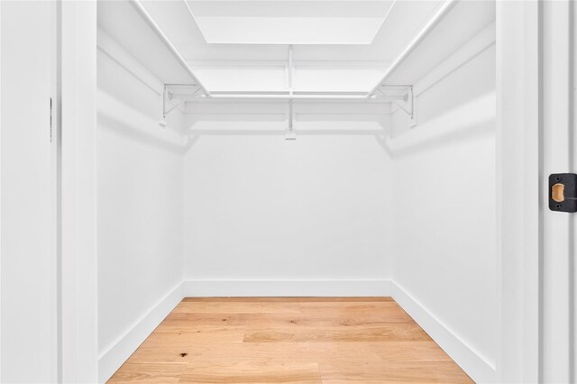 walk in closet with light wood-type flooring