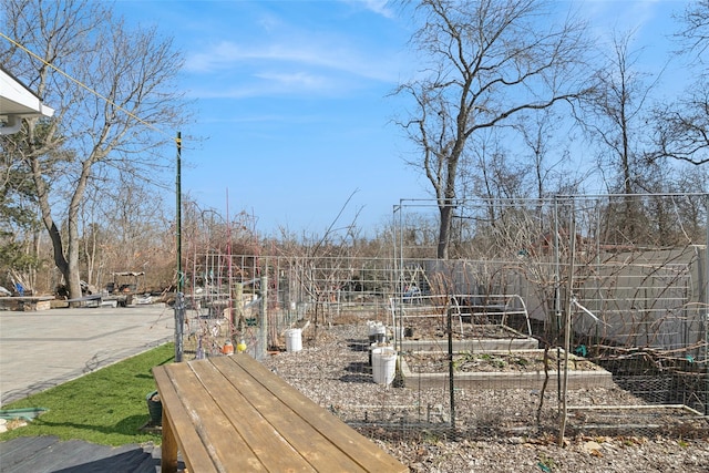 view of yard featuring a garden