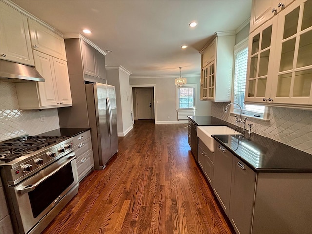 kitchen featuring dark countertops, dark wood-style floors, appliances with stainless steel finishes, under cabinet range hood, and a sink