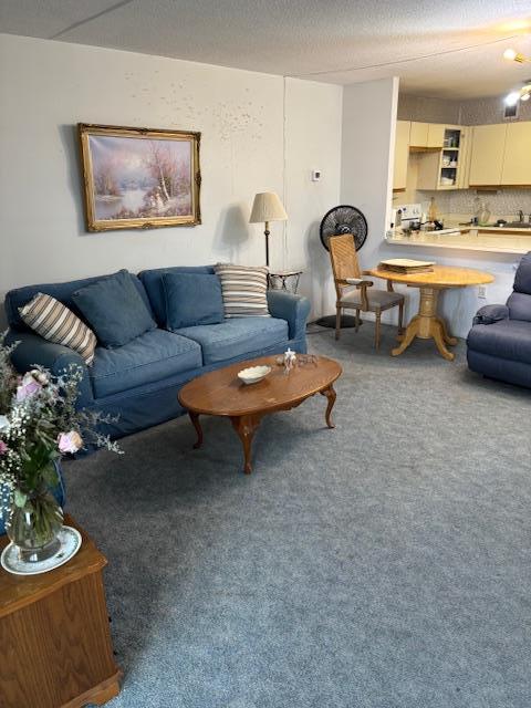 living room featuring carpet flooring and a textured ceiling