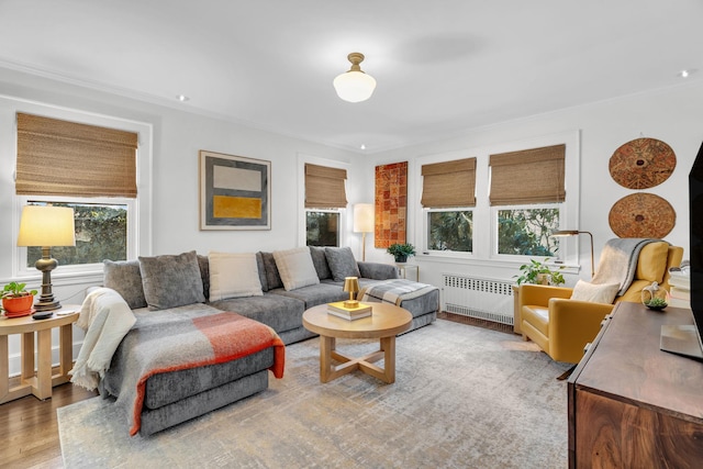 living room with radiator heating unit and wood finished floors