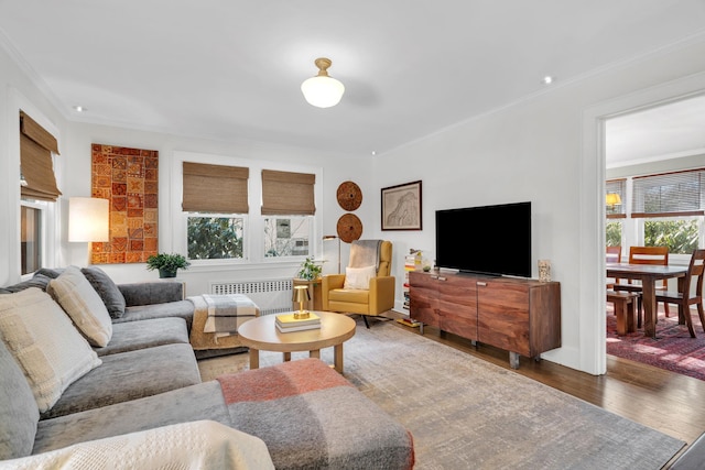 living area featuring ornamental molding, radiator heating unit, and wood finished floors