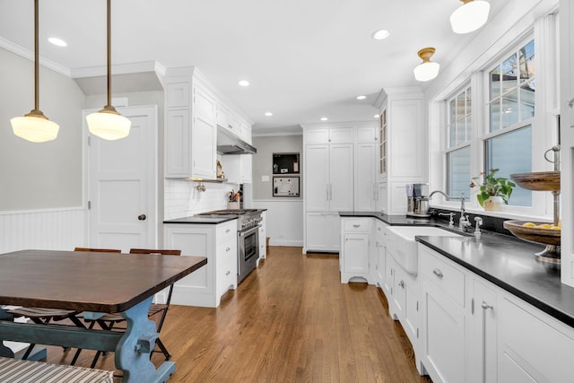 kitchen with dark countertops, wood finished floors, under cabinet range hood, white cabinetry, and a sink