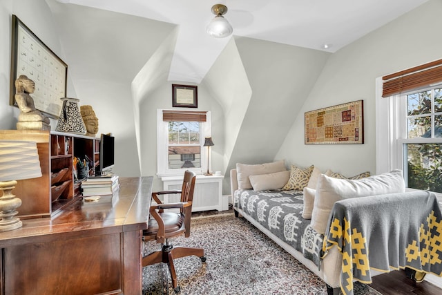 bedroom with lofted ceiling, multiple windows, and radiator