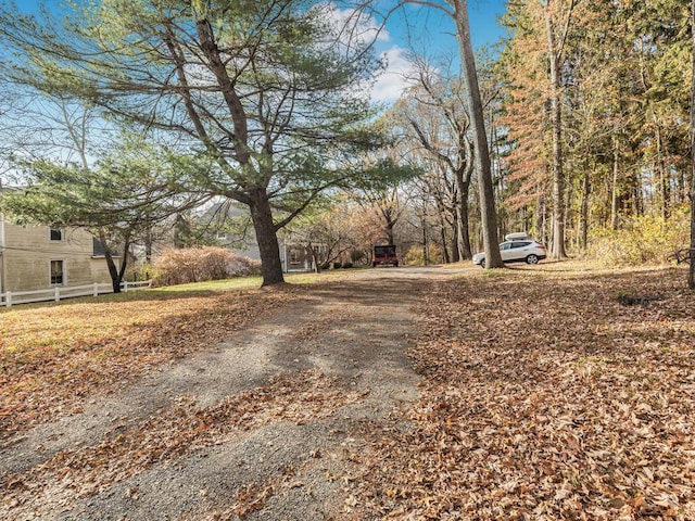 view of street with driveway