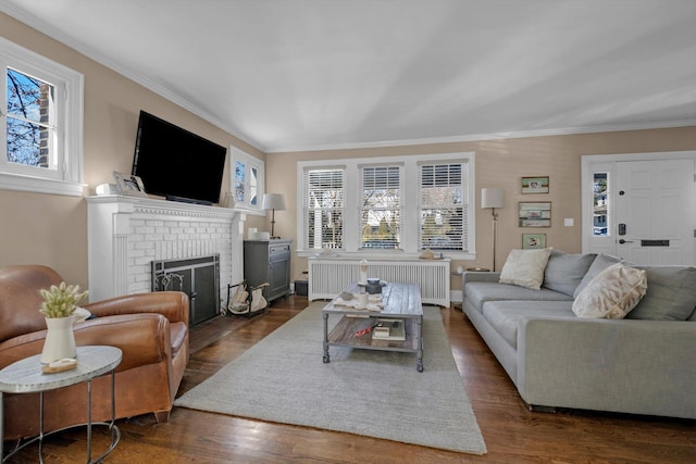 living area featuring dark wood-style floors, radiator heating unit, a fireplace, and crown molding