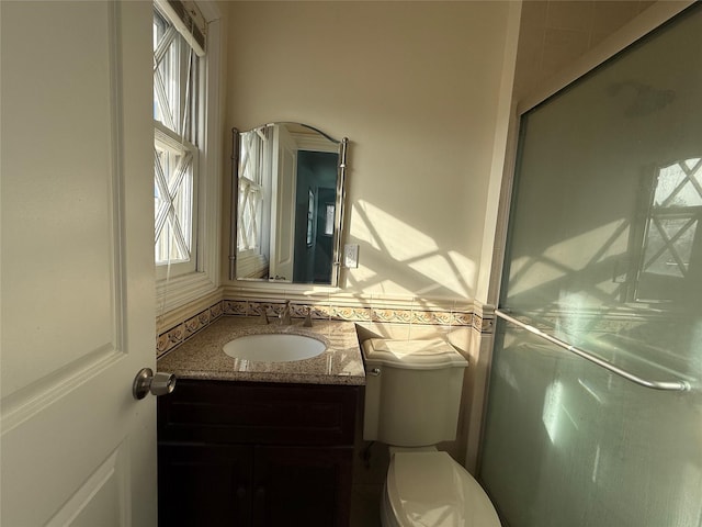 bathroom with toilet, a shower stall, and vanity