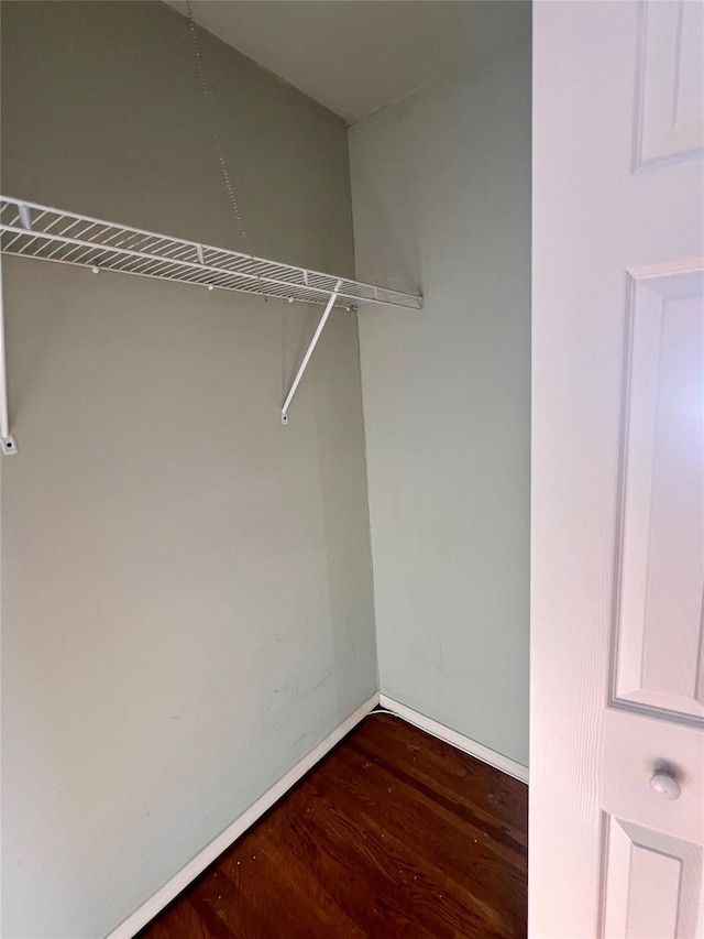 spacious closet with wood finished floors