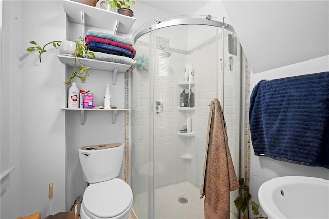 full bathroom featuring a stall shower, a sink, and toilet