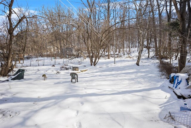 view of snowy yard