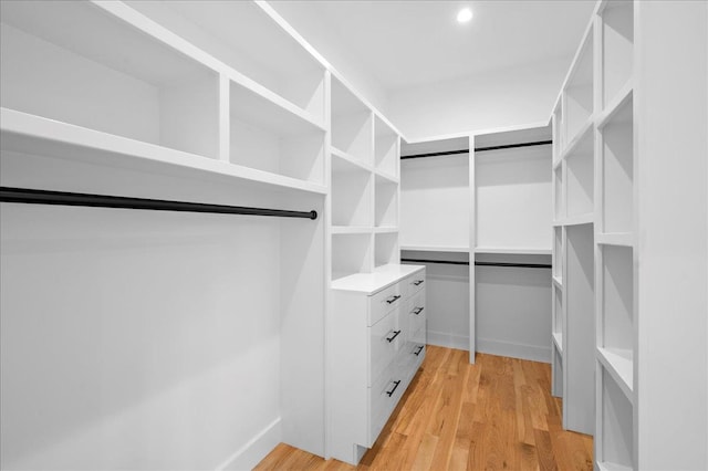 12 Fairway Ave, Rye, NY 10580 - walk in closet with light wood-style flooring