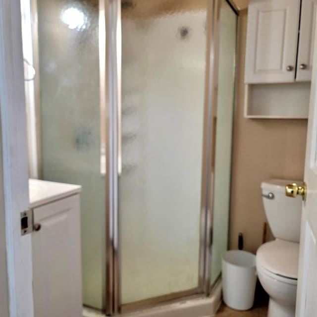 full bathroom featuring a shower stall, toilet, and vanity