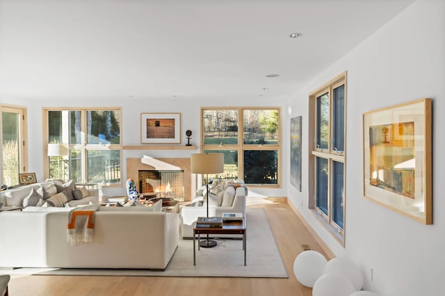 living room featuring a glass covered fireplace and light wood-style flooring