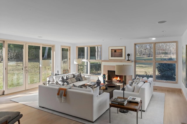 living room featuring a premium fireplace and light wood-type flooring