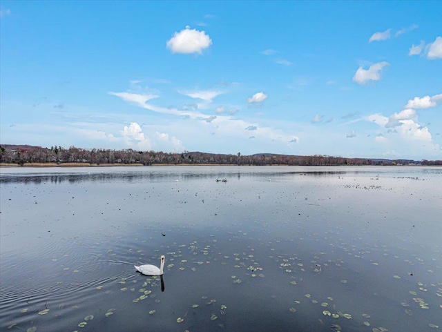 215 Old Haverstraw Rd, Congers, NY 10920 - water view