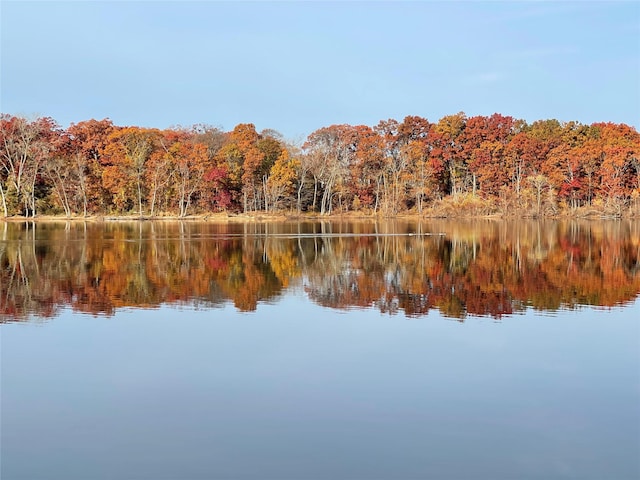 water view with a forest view