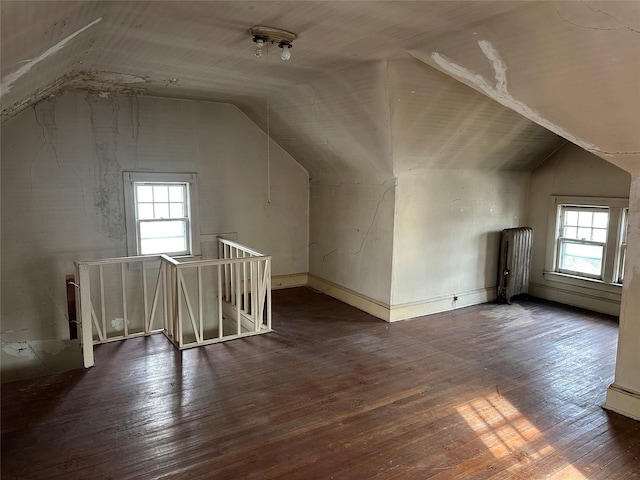 additional living space with dark wood-style floors, a wealth of natural light, and lofted ceiling