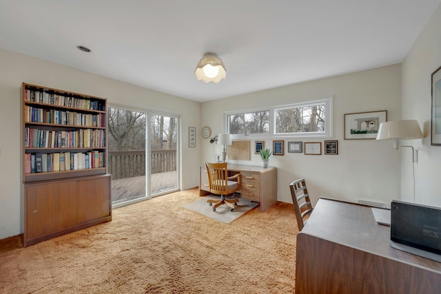 office area featuring carpet