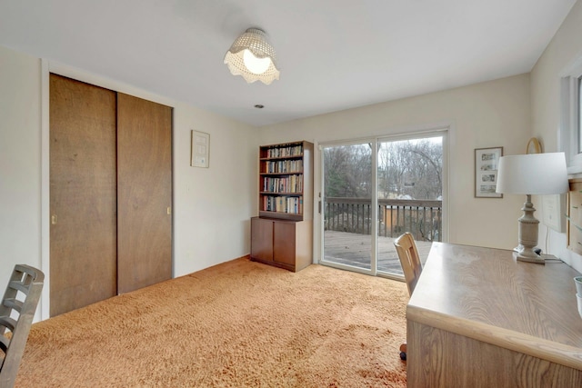 office featuring carpet floors