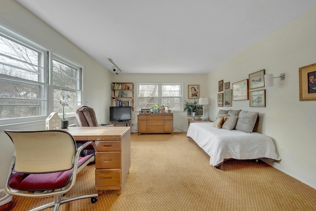 bedroom featuring light carpet