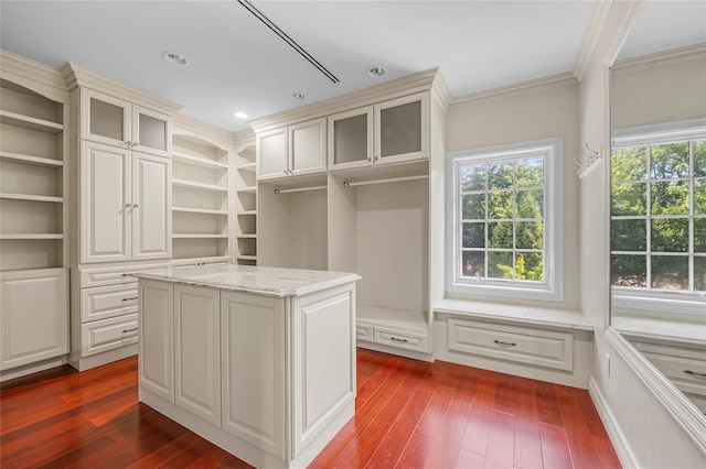 walk in closet featuring dark wood-style floors