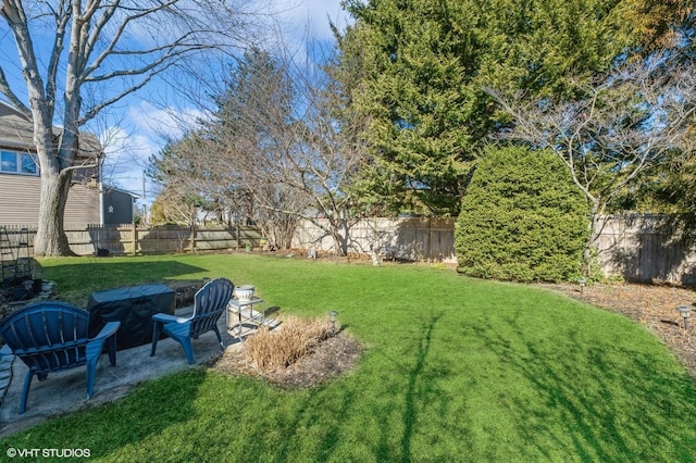 view of yard with a patio area and a fenced backyard