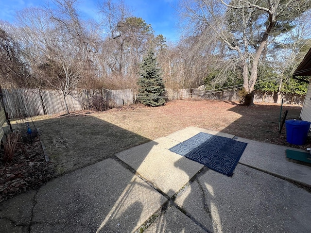 view of yard featuring a patio area and a fenced backyard