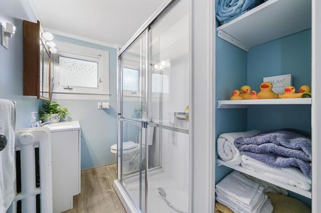 bathroom with a sink, a shower stall, toilet, and wood finished floors