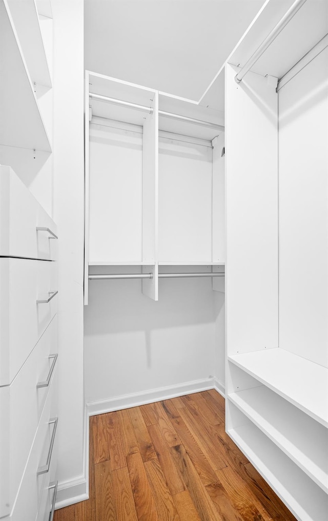 spacious closet featuring wood finished floors