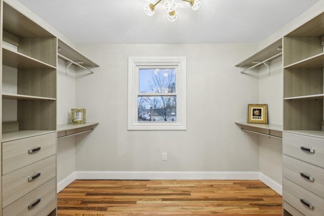 walk in closet with wood finished floors