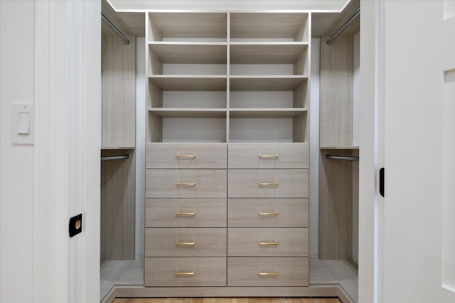 670 Emerson St, Woodmere, NY 11598 - view of spacious closet