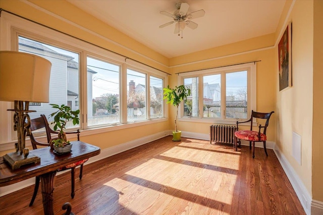 sunroom / solarium with radiator