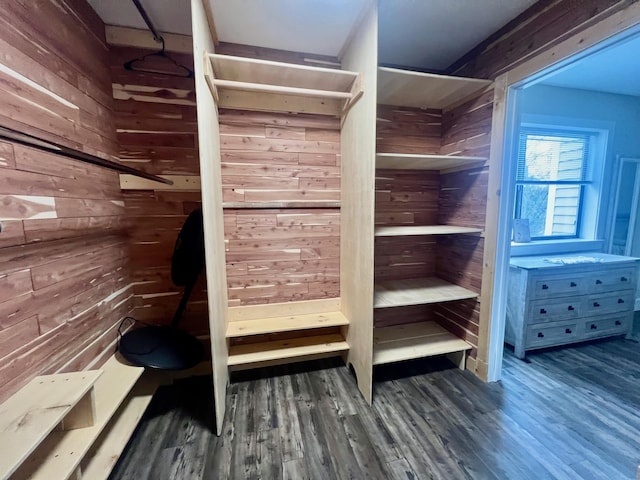 spacious closet with wood finished floors