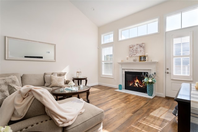 living room featuring a fireplace with flush hearth, plenty of natural light, baseboards, and wood finished floors