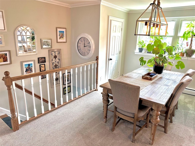 dining space featuring ornamental molding and carpet