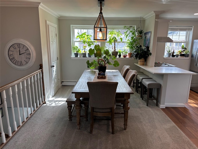 dining room featuring a baseboard radiator, crown molding, and wood finished floors