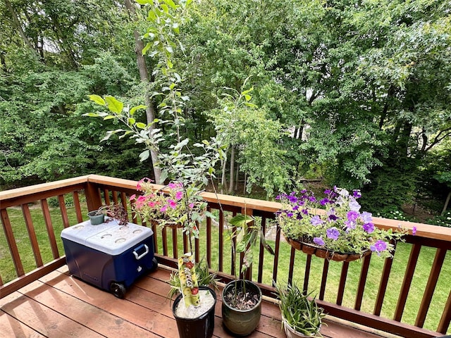 wooden terrace with a yard