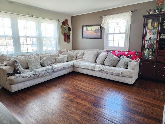 living room with a healthy amount of sunlight, ornamental molding, and dark wood finished floors