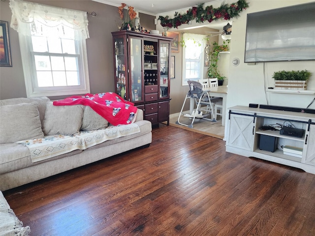 living room with plenty of natural light, ceiling fan, and wood finished floors