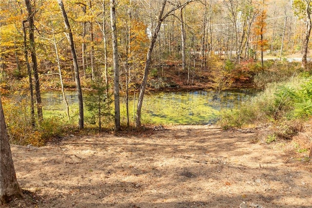 view of landscape featuring a water view and a view of trees