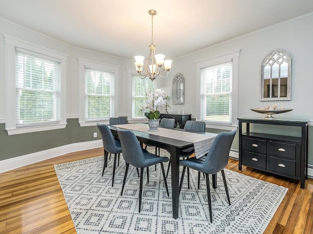 dining room with plenty of natural light, crown molding, baseboards, and wood finished floors