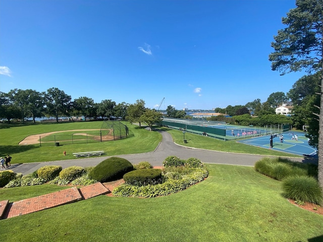 view of community with a lawn