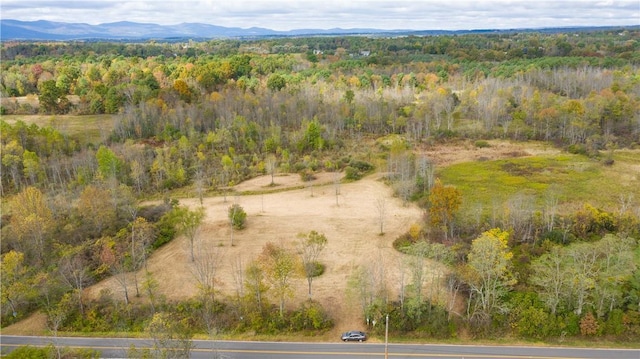 Newry Rd, Greenville NY, 12083 land for sale