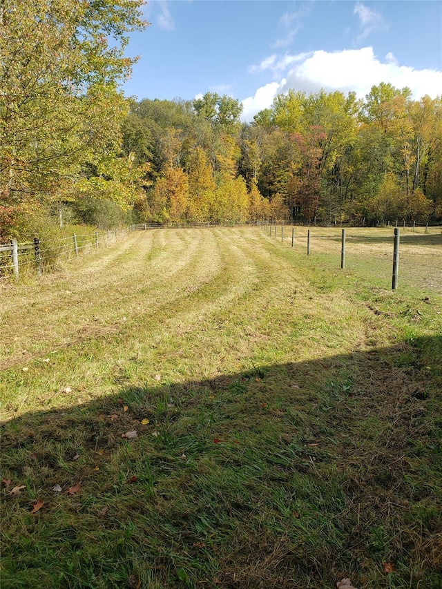 view of yard with fence, a view of trees, and a rural view